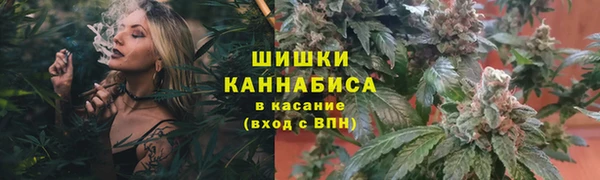 Альфа ПВП Аркадак