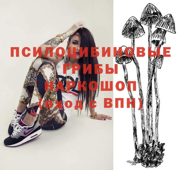 Альфа ПВП Аркадак