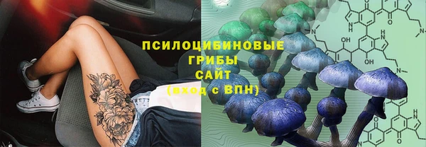 Альфа ПВП Аркадак